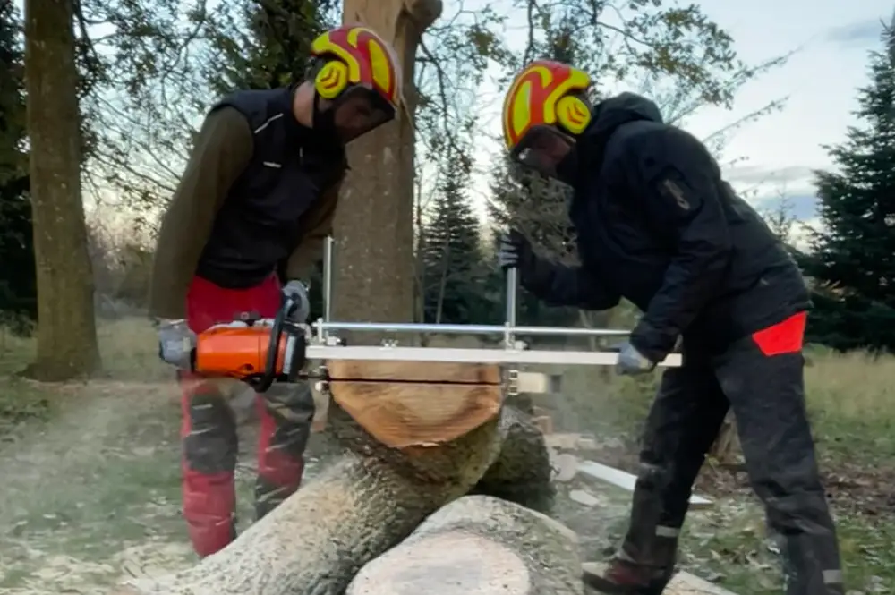 Opskæring af stammer i Roskilde