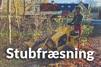 Stubfræsning i Roskilde