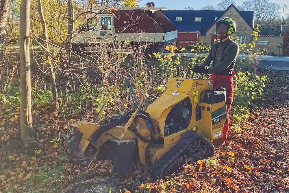 Stubfræsning i Roskilde